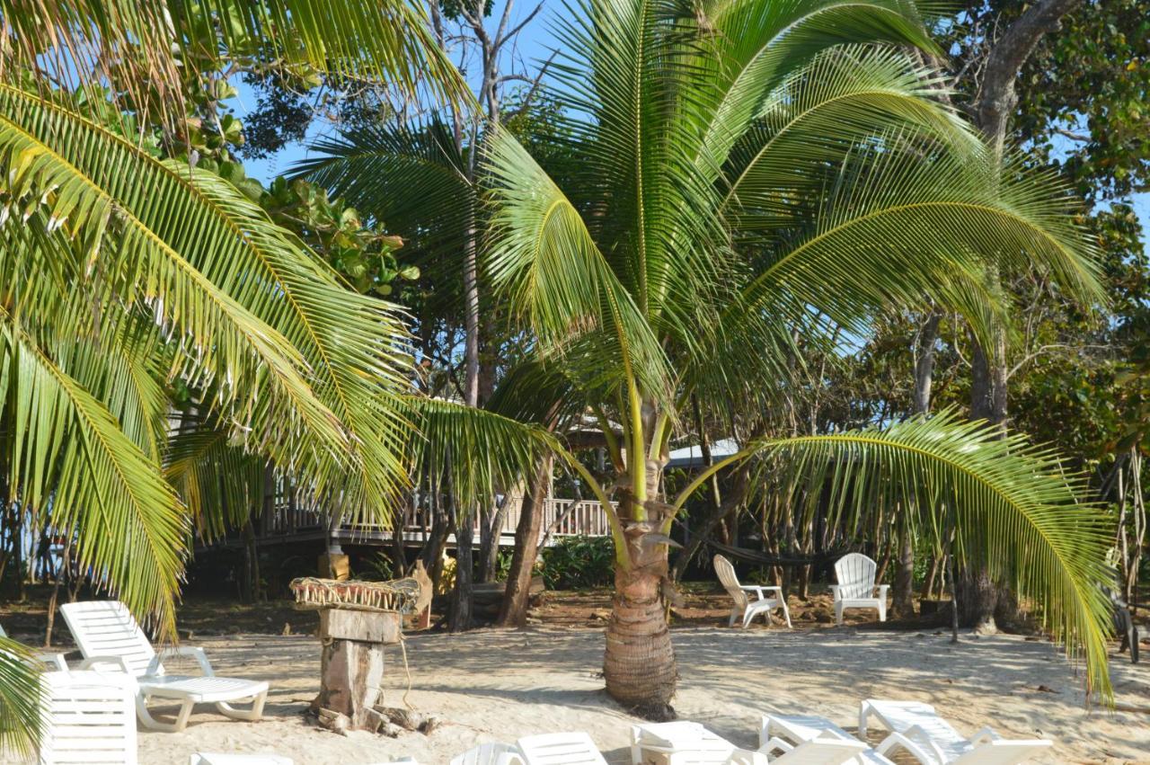 Sonny Island Resort Cabanas Frente Al Mar Punta Bajo Rico المظهر الخارجي الصورة